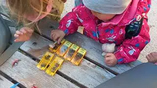 Пчеломатки в детском саду