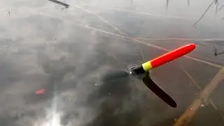ОНО КЛЮНУЛО НА УДОЧКУ 💥 ЛЮТЫЙ ЖОР РЫБЫ НА ПОПЛАВОК!!! РЫБАЛКА НА ПОПЛАВОЧНУЮ УДОЧКУ