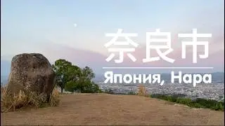 Лесное приключение//Нара, Япония часть 1