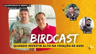 BIRDCAST 31: CRIADOR CAPIXABA VENDEU A CASA PARA INVESTIR NAS AVES