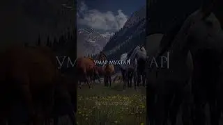 ПОБОЙТЕСЬ АЛЛАХА