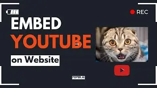 Embed YouTube Video on Website – Free Embed Code Generator