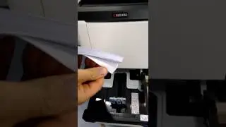 Как добавить бумагу в принтер Kyocera M6026cdn