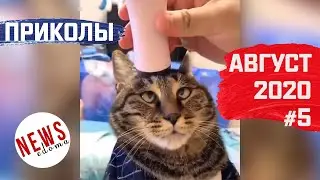 ПРИКОЛЫ АВГУСТ 2020 #5 РЖАКА FUNNY COMPILATION