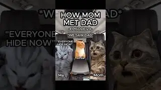 CAT MEMES 🐱 HOW MOM MET DAD EP.24 #relatable #relationship #cat #catlover #shorts