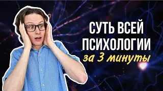 Суть ВСЕЙ психологии за 3 минуты