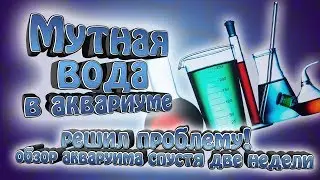 Мутная вода в аквариуме с "Живым грунтом". - Мы нашли решение!