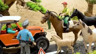 Polis arabası yoldaki hayvanlara yardım ediyor