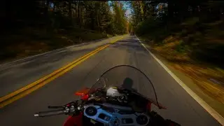 Ducati Panigale V4 Aggressive Pure Sound | 4K