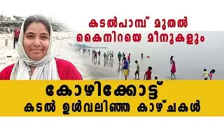 കോഴിക്കോട്ടു കടൽ ഉള്ളോട്ടു നീങ്ങിയത്തിന്റെ സത്യം ഇതാണ് ISeaVanish