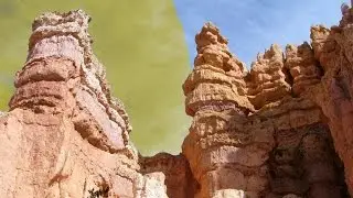 How to Use the Color Replacement Tool in Photoshop