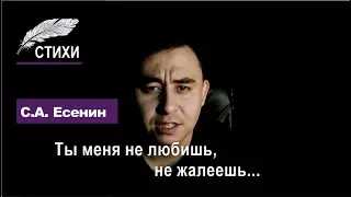 ТЫ МЕНЯ НЕ ЛЮБИШЬ...