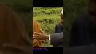 Filfilu Bermuda Triangle ፍልፍሉ ቤርሙዳ #shorts #ethiopiancomedy #comedy