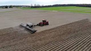 Black Dawn One 24 row 30" Strip Till Toolbar