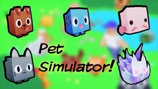 WE ARE BACK! (NEW INTRO)