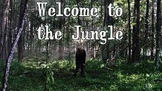 The Walking Dead || Welcome to the Jungle