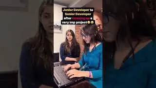 Senior developer and Junior developer | Perfect eLearning | check the description