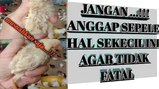 cara menghindari hal sepele agar tidak menjadi lebih fatal