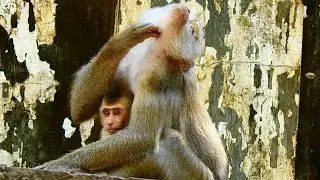 How stress is Mother staying with Baby?