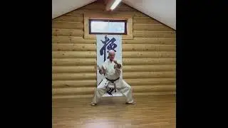 #hanshi #karate #yakunin #kyokushin #kyokushinkarate