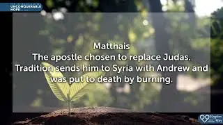 The Sacrifices of the Disciples to Spread the Good News