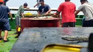 PENDEK TALI TOWING!!INILAH KESIBUKAN CREW KAPAL SAAT PENDEK TALI TOWING!!