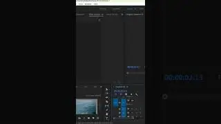 cinmatic reverse effect in premiere pro