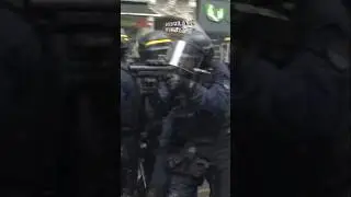 🇫🇷 Why the French are always rioting #shorts