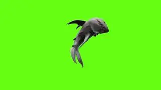 Green Screen Jaws 2