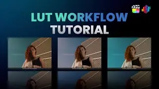 It's all in here... (working with LUTs in Color Finale 2 Pro)