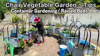 TIPS How to Grow Tomatoes Peppers Cucumbers Container Gardening, Raised Bed EASY Vegetable Garden