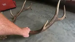 Idaho Elk Hunt 2024. Over the Counter
