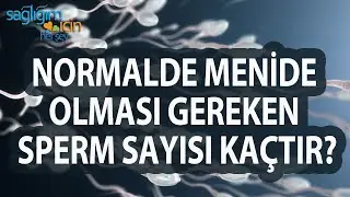 Olması Gereken Sperm Sayısı