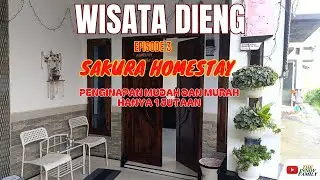 SAKURA HOMESTAY DIENG, PENGINAPAN MUDAH DAN MURAH HANYA 1 JUTAAN | WISATA DIENG EPS.3
