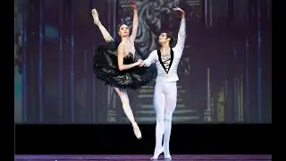 The Swan Lake pas de deux. Alena Kovaleva & Jacopo Tissi