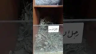 9 سبتمبر 2023