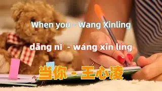 当你 - 王心凌 dang ni. When you - Wang Xinling. Chinese songs lyrics with Pinyin.
