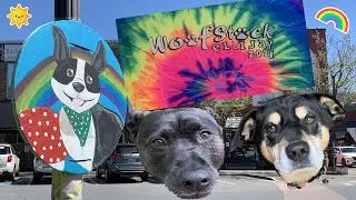 Groovy Pet Party in Swinging Ellijay, GA!