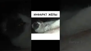 7 апреля 2023 г.