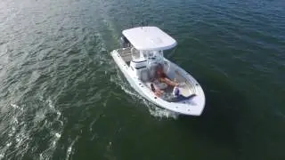 Sea Fox 249 Avenger - Best Boat