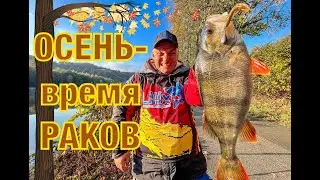 С этой ПРИМАНКОЙ ты НАЛОВИШЬ! РАК - Лучшая ПРИМАНКА на ОКУНЯ поздней ОСЕНЬЮ. Как ЛОВИТЬ осенью ОКУНЯ