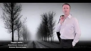 Виталий Егоров исполняет песню 