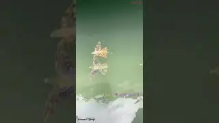BEAUTIFUL FISHES