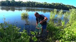 Только забросил ФИДЕР и попёрли ЛЕЩИ ! Ловля ЛЕЩА на ДОНКУ и ФИДЕР! Рыбалка на леща в жару!