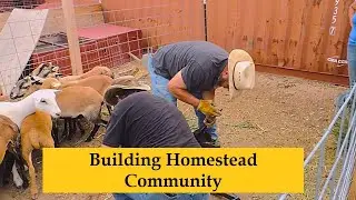 Building Homestead Community