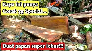 Cara buat papan yang lebar menggunakan chainsaw stihl||gergaji mesin||ms382