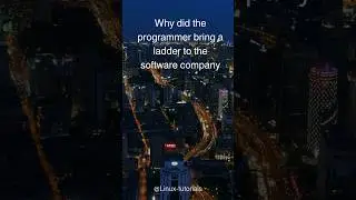 Why did the #programmer 👩‍💻 bring the ladder 🪜 to a #software company? #viral