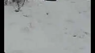 skok na prkně2