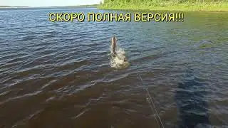 МОЙ РЕКОРД