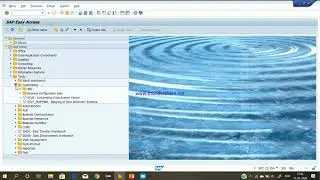 SAP CO: Distribution and Assessment Task